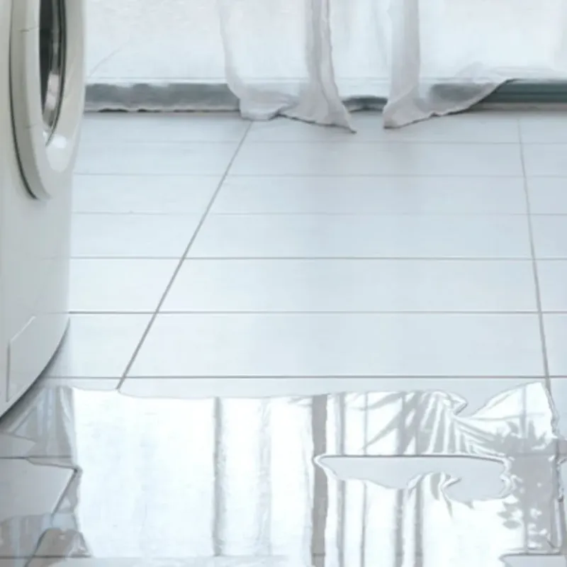 Appliance Leak Cleanup in Fishhook, AK