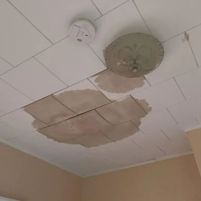 Ceiling Water Damage Repair in Fishhook, AK