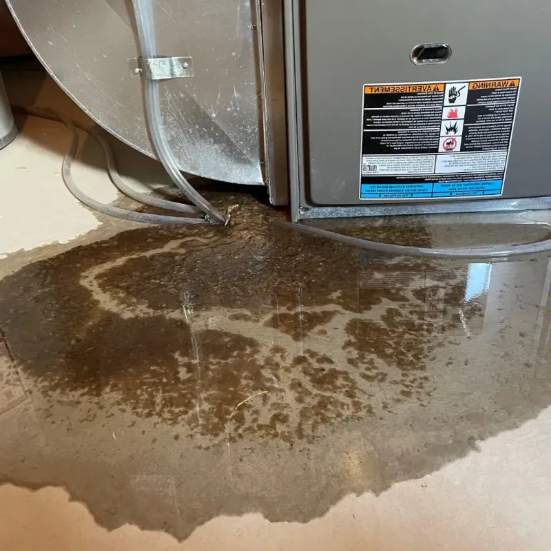 Pipe Burst and Leak Restoration in Fishhook, AK