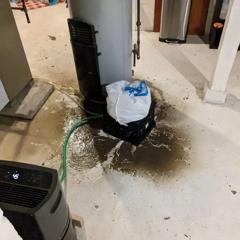 Sewage Backup Cleanup Service in Fishhook, AK